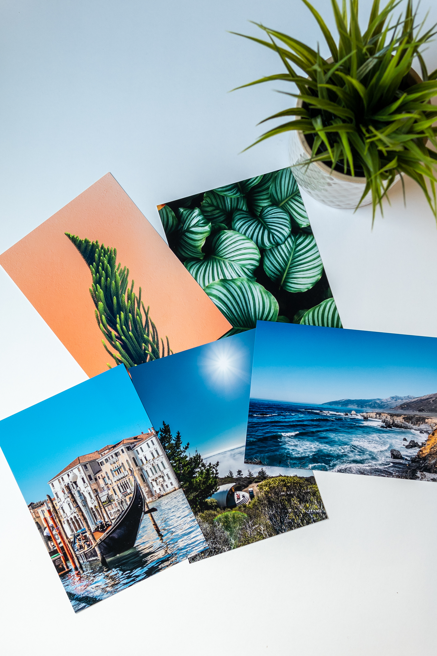 Photo Prints