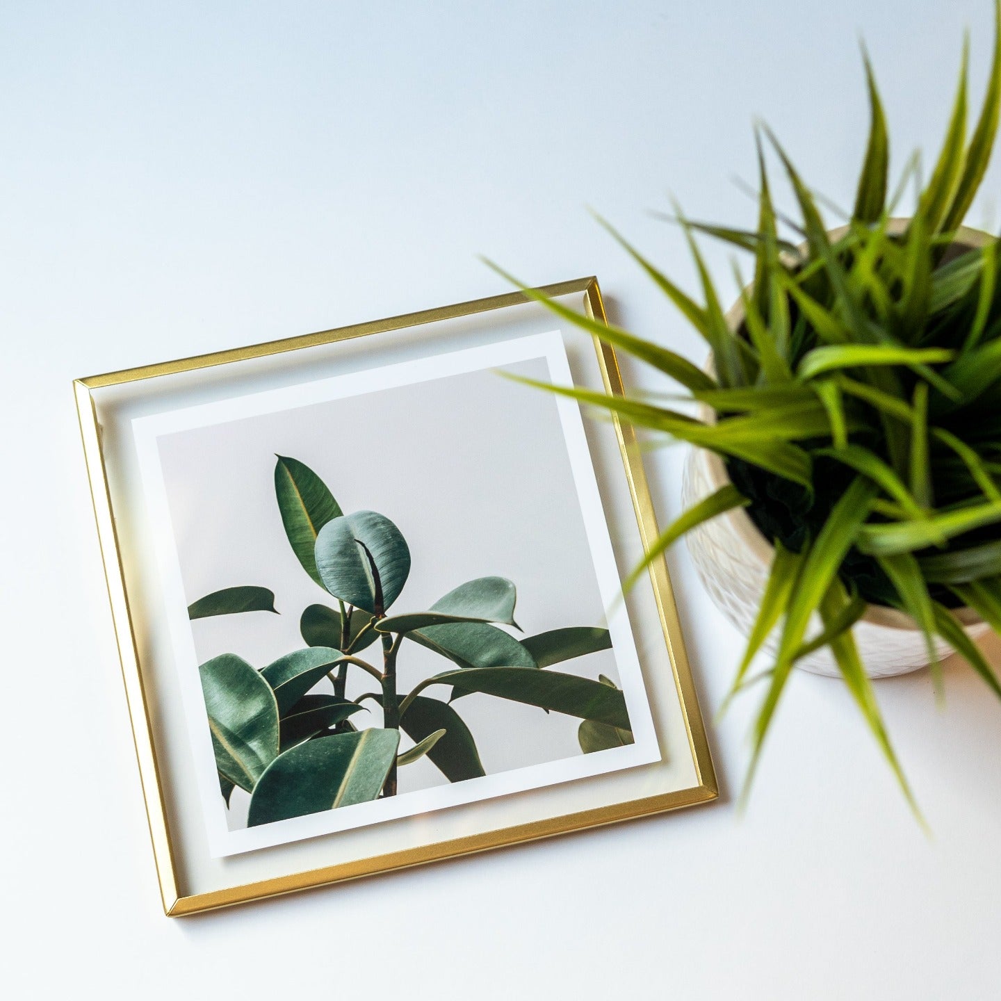 Square photo print with border in golden frame