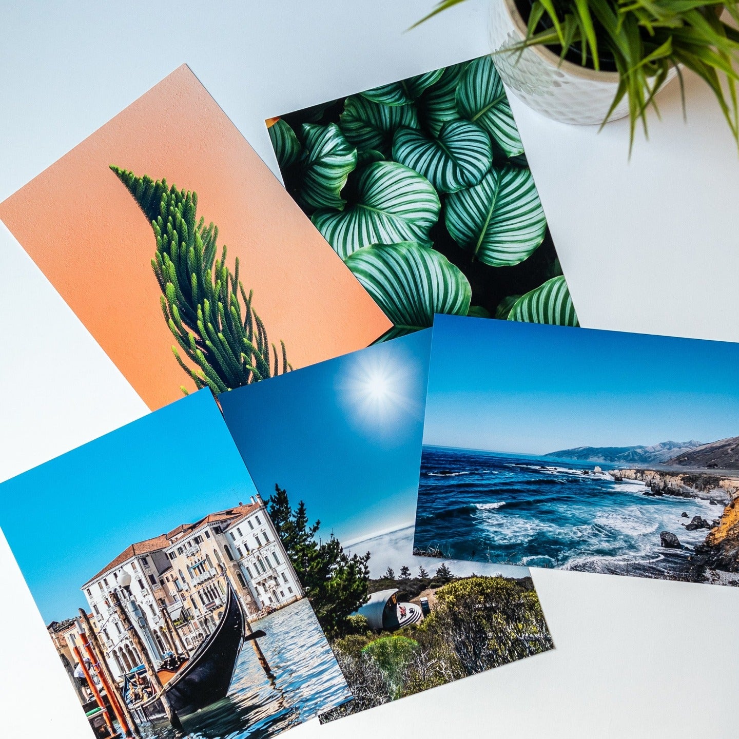 Premium lifestyle photo print, samples